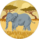 John O. profile picture