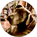 Kelly B. profile picture