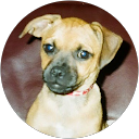 Kelly R. profile picture